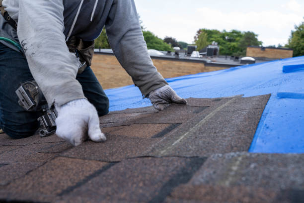 Best Storm Damage Roof Repair  in Grayling, MI