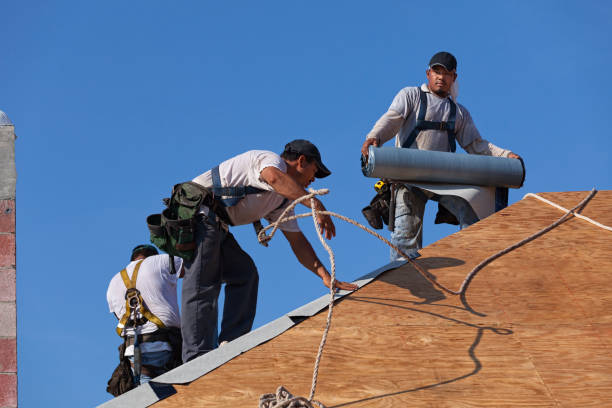 Best Local Roofing Companies  in Grayling, MI